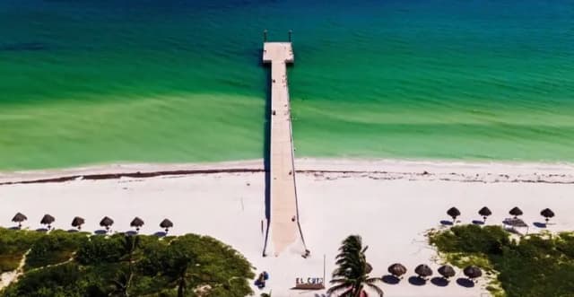 Oportunidad frente a mar: Terreno con Dictamen Ambiental en El Cuyo, Yucatán