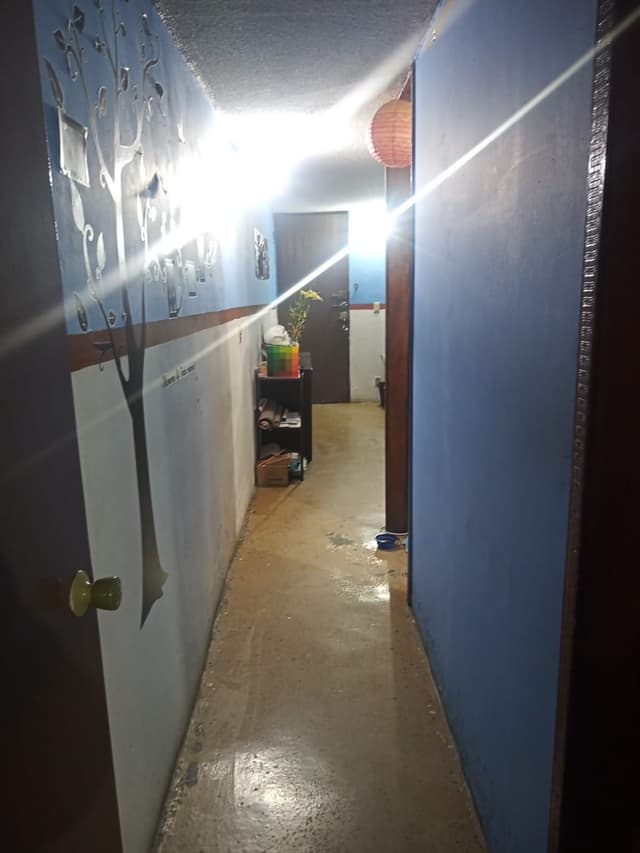 Renta de departamento por metro rosario